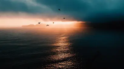 暮色海天飞鸟 海景 日落 剪影 2K