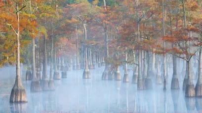 秋日湖畔静谧之美 自然景观 秋季 湖泊 4K