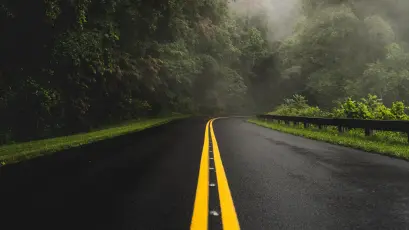 雨雾中的蜿蜒公路 公路 森林 雾气 1080P