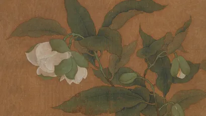 白花绿叶图 花卉 写实 白色 2K
