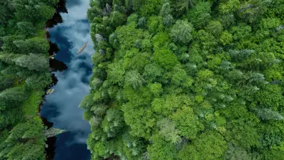 空中俯瞰森林河流 航拍 森林 河流 4K
