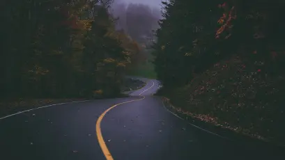 蜿蜒山路 山路 森林 雾气 4K