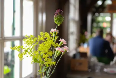 室内花艺 室内 自然 花卉 4K
