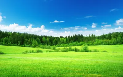 绿野蓝天 自然风光 绿色草地 蓝色天空 2K
