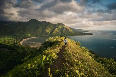 山海之间的漫步 自然风光 海岸线 绿色植被 4K