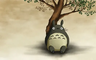树下的龙猫 动画 自然 温馨 1080P