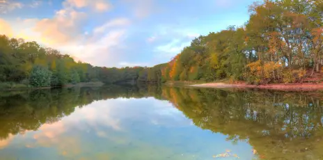 秋日湖畔静谧景 自然风光 秋季 湖泊 8K