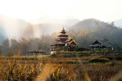 晨雾中的寺庙 寺庙 田园风光 晨雾 4K