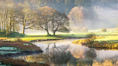 晨雾湖畔 自然风景 油画风格 金色晨光 4K