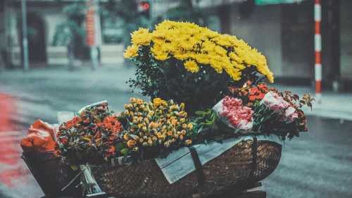 雨后花市 雨天 街边 花卉 1080P