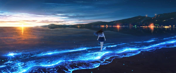 星光海岸漫步 海滩 夜晚 星光 2K