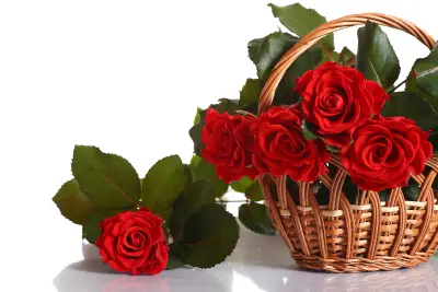 篮中红玫瑰 玫瑰花 花篮 红色 4K