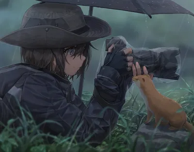 雨中摄影 雨中 摄影 动物 2K